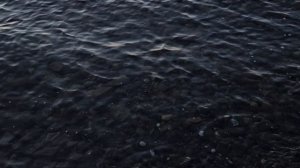 Владивосток, море в середине декабря, 2024 год.