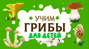 Учим Грибы и цветы для детей - Развивающие видео для малышей