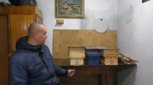 На сколько отводков можно поделить семью? Отводки пчёл для начинающих пчеловодов.