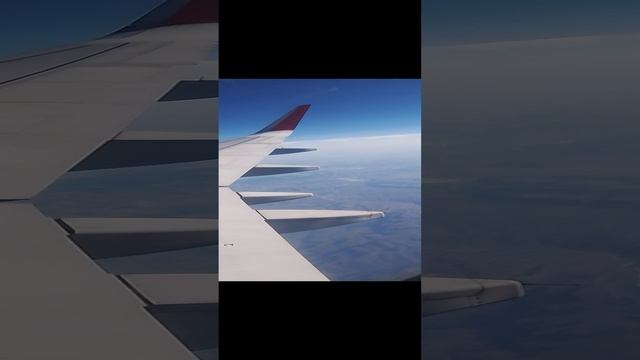 403c9a5d-42f6-4f87-bd4b-c19fa28936d2-1_all_130.mp4 смотреть онлайн