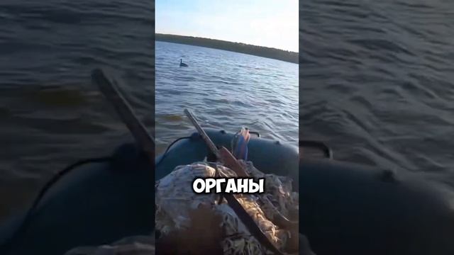 САМОЕ ОПАСНОЕ ОЗЕРО НА ПЛАНЕТЕ #ядовитоеозеро #яд #экология смотреть онлайн