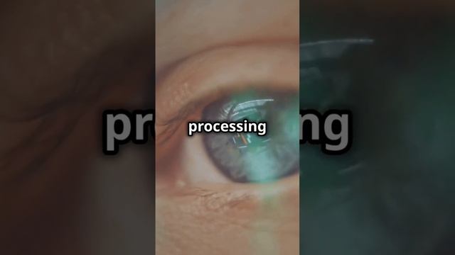 Human Eye: 576 Megapixels?! 🤯 #shortsfeed #english смотреть онлайн