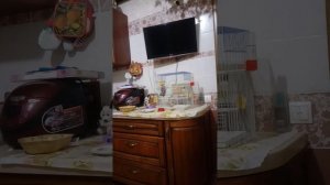 Амадин Типка купается в джакузи