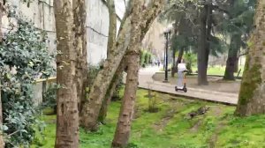 "Стук колес" Виталий Толкачев