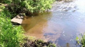 Что делать если со скважины идет ржавая вода. Абиссинская скважина в помощь!
