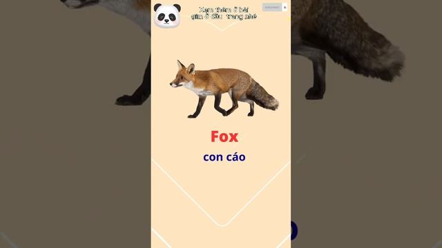 #shots  Tên các loài vật trong Tiếng Anh phần 3 смотреть онлайн