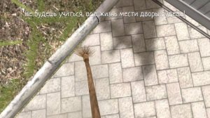 Я офигел от того что со мной сделали родители