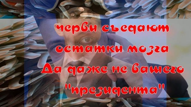 предатель
