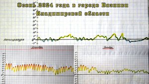 Климатические итоги осени 2024 года в городе Вязники Владимирской области
