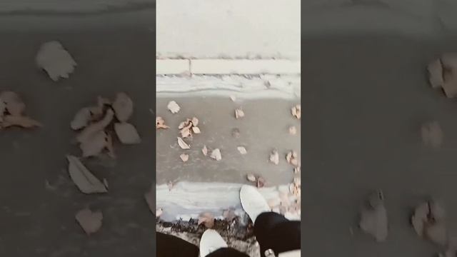 18 марта 2024 г. смотреть онлайн