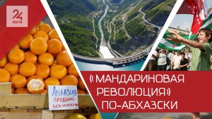 Без электричества, но с мандаринами: во что обернулась смена власти в Абхазии?