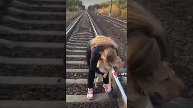 Девочка дёргает собаку за хвост