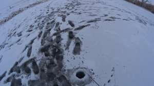 первый лед 2022. Рыбалка Саратов