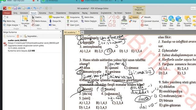 NV-Akademiya. Fonetika смотреть онлайн
