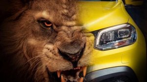 💯ЧЕЧЕНСКИЕ ПЕСНИ 💥Саламу Дабаев Новинка🆕 "ДУЬНЕ КЪАГОШ МАЛХ БУ ХЬО"🔥 2023🎶👍