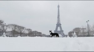 В Париж. Антон Чехов.