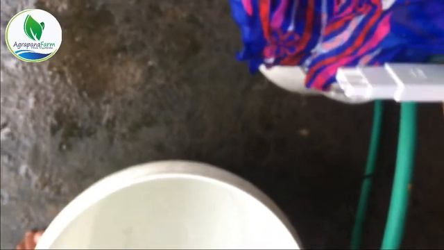 AIR BAKU HIDROPONIK WAJIB DIBAWAH 100ppm! смотреть онлайн