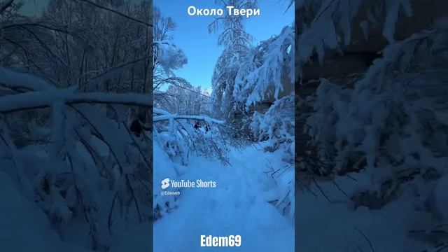 Зима около Твери это Нечто