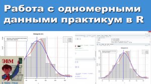 Работа с одномерными данными практикум в R