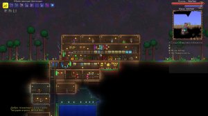 Нас покинул тимейт, Terraria, 4 запуск