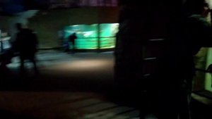 влог из океанариума