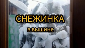 Укладываем пароизоляцию на веранду. 14.12.2024