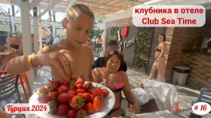 Отдых в Турции | Угощаю клубникой в отеле Club Sea Time | Октябрь 2024 | Часть 16-я