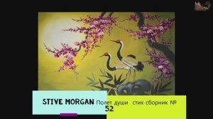 Stive Morgan Полет души