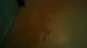 НАССАЛИ В ЛИФТЕ. ЖЕСТЬ ОТ СОСЕДЕЙ.