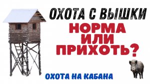 Охота на кабана! Охота с вышки. Норма или прихоть?