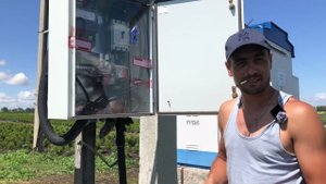 осы в счетчике и дихлофос