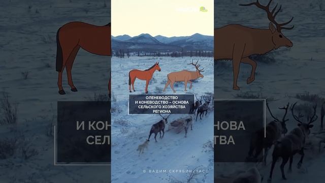 Полюс холода — так местные называют Оймякон.