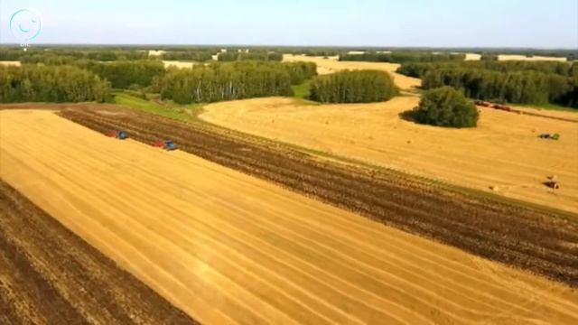 Правительство одобрило новые направления региональной госпрограммы по развитию сельского хозяйства