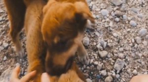 ЖЕНА УШЛА К БЫВШЕМУ МУЖУ, А ПОТОМ ПОПРОСИЛАСЬ ОБРАТНО  ИСТОРИИ ИЗМЕН  АУДИОРАССКАЗ