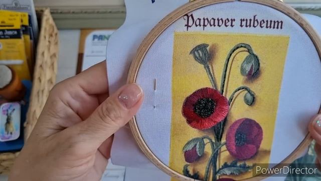 ВСЕ МОИ НАЧАТЫЕ ВЫШИВАЛЬНЫЕ ПРОЦЕССЫ на июль ❤️ Вышивка крестиком смотреть онлайн