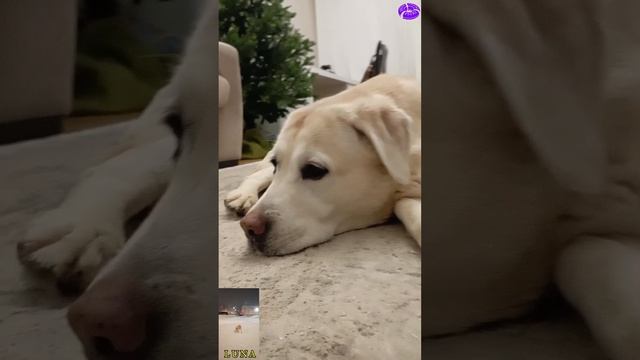 Скоро уже