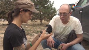 «Воронье гнездо». В деревне Красилово работает центр реабилитации диких птиц