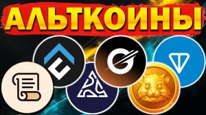 🚀Альткоины которые дадут иксы! Разбор монет: SCR SCROLL TON TONCOIN CFX CONFLUX HMSTR 5IRE Gravity