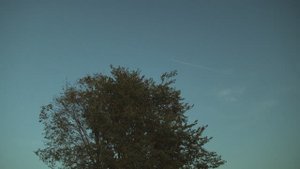 Что подарит новый день?