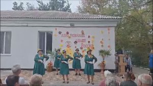 Бабушки заюшки