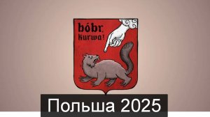 ТАРО #Аврора #гадание Польша 2025