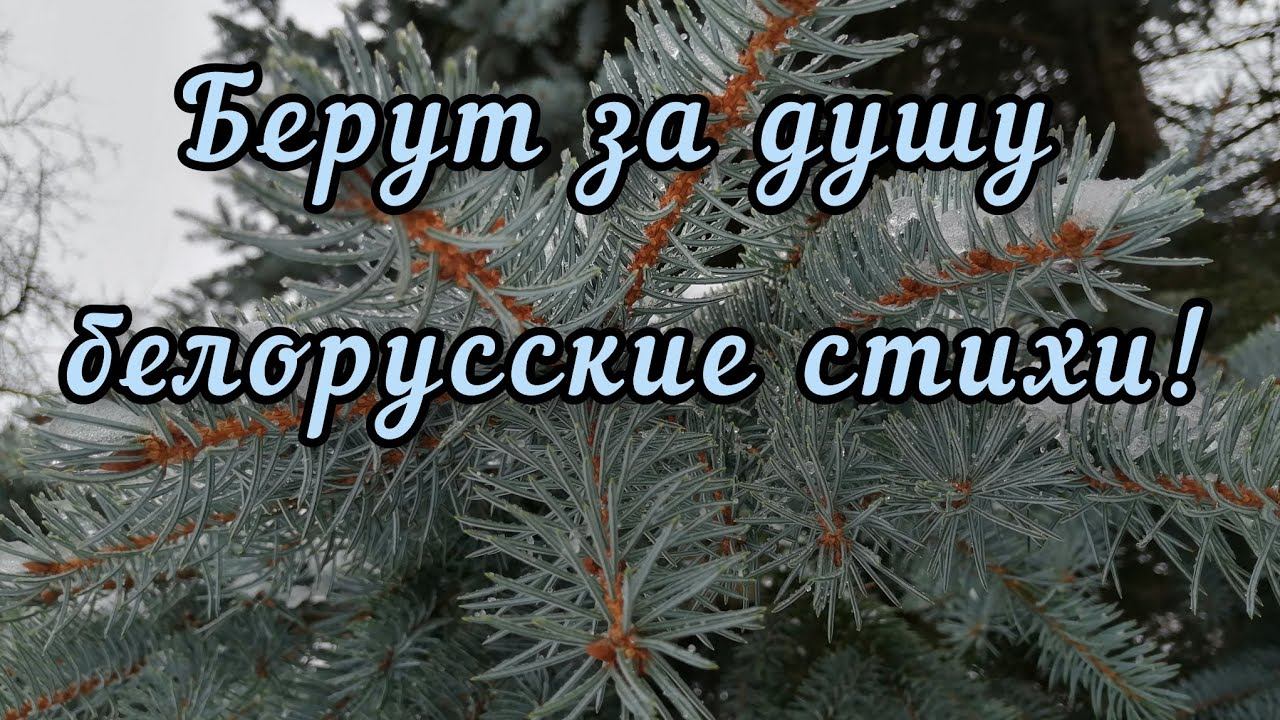 ТРОГАТЕЛЬНЫЕ СТИХИ. Якуб Колас! Янка Купала!