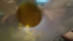 VID_20241214_210247.mp4