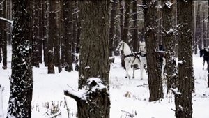 Тройка русский романс поёт Вяльцева Анастасия