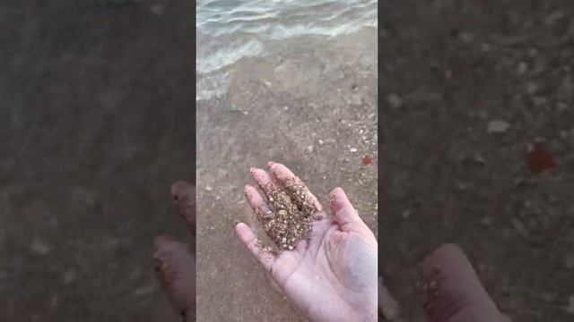 Здравствуй, Красное море!
