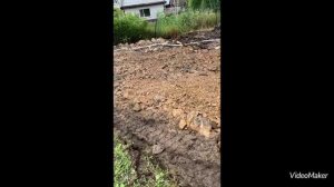 Отсыпка участка под будущее строительство