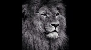 Сильный нашид - дух храбрости. Strong Nasheed. Kuchli Nashid.