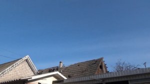 23 марта  Николаевские  Рябогорлые