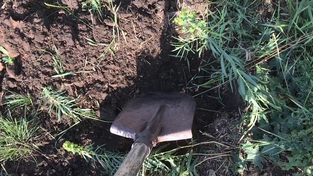 Бюджетный металлоискатель MD 40 30 . Коп металла . МД 40 30. смотреть онлайн