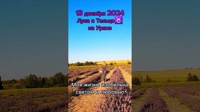 #13декабря2024 #гороскопдня